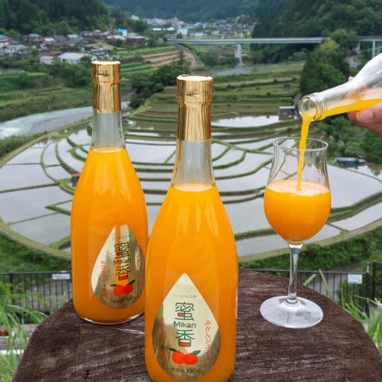 糖度14度】ギフト)有田のみかんジュース 2本 和歌山県産 有田みかん使用 無添加-1